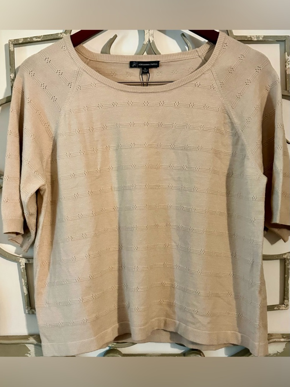 NWT Adrianna Papell Beige Short Sleeve Knit Top Size XL